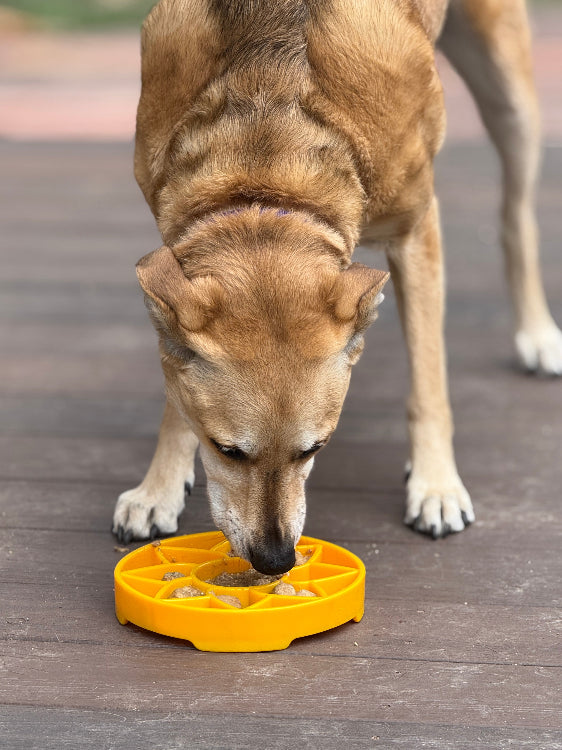 Sunflower eTray Slow Feeder Bowl | USA Made
