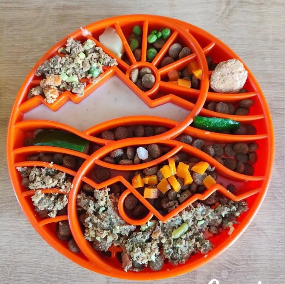 Sun and Moon eTray Slow Feeder Bowl | USA Made