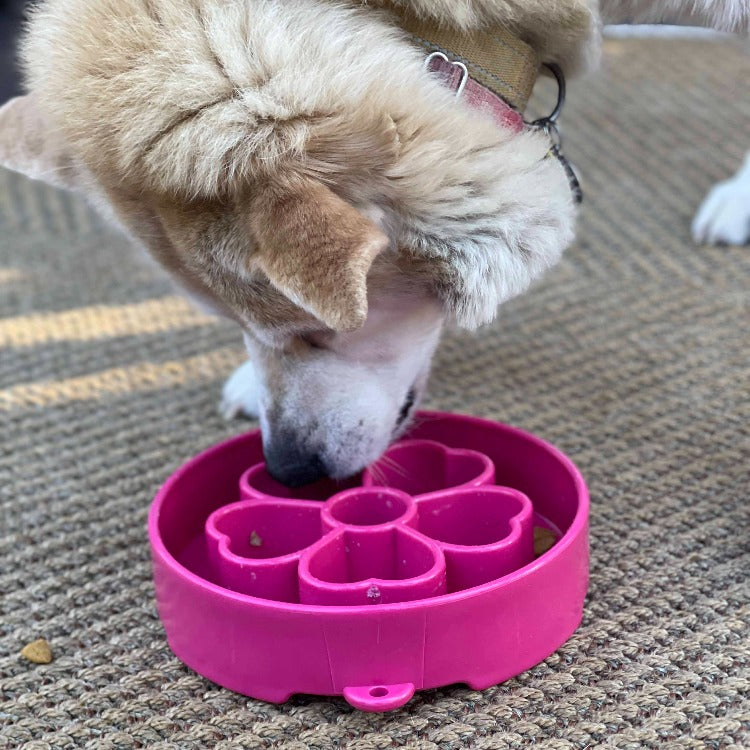 Flower eBowl Slow Feeder Bowl | Made in USA