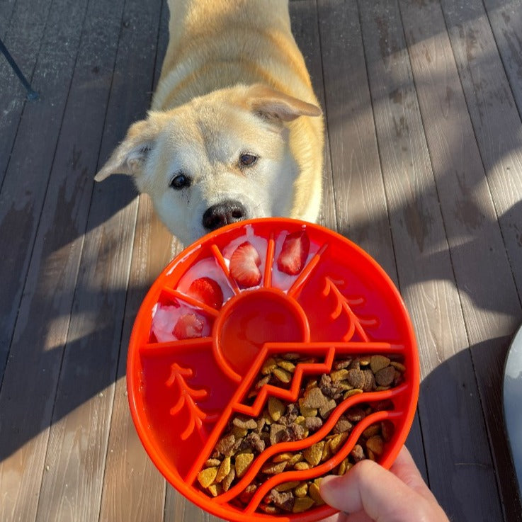 Great Outdoors eBowl - Slow Feeder Bowl | USA Made