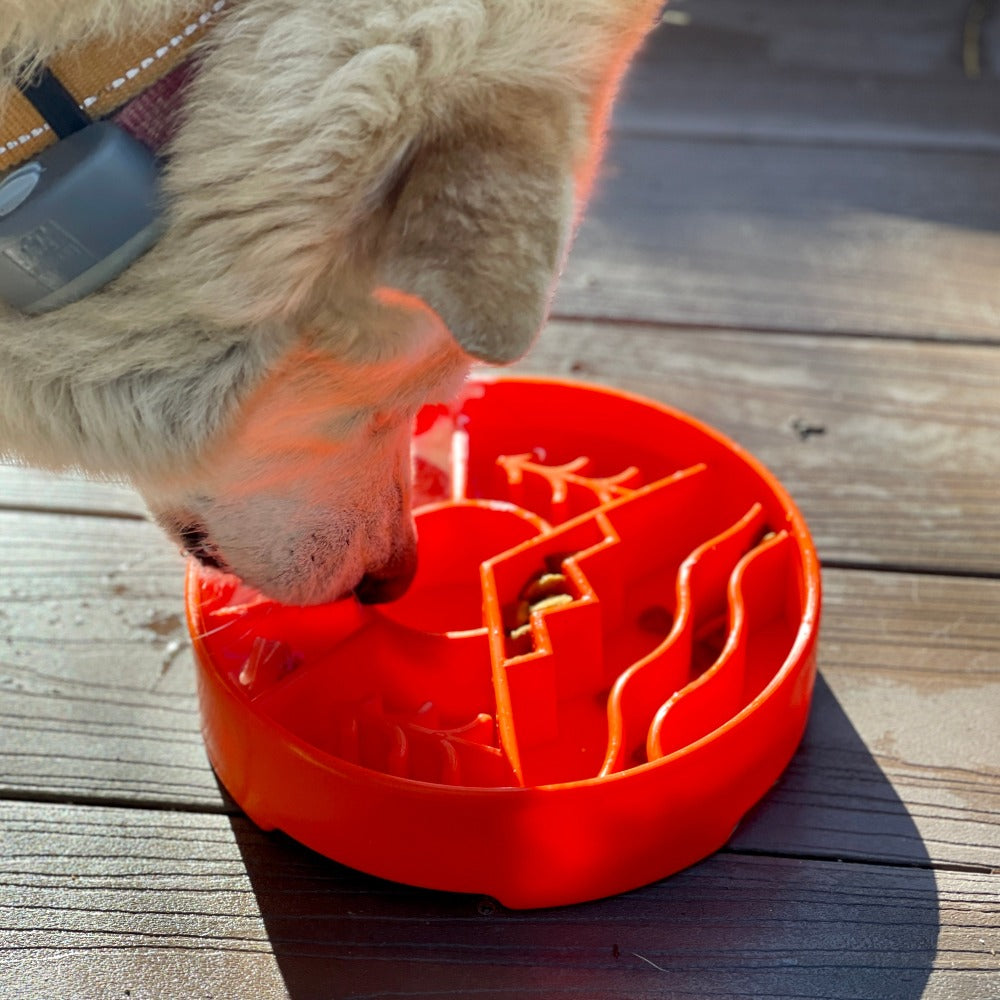 Great Outdoors eBowl - Slow Feeder Bowl | USA Made
