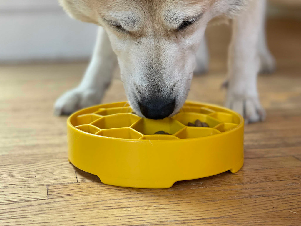 Honeycomb Slow Feeder Bowl| USA Made