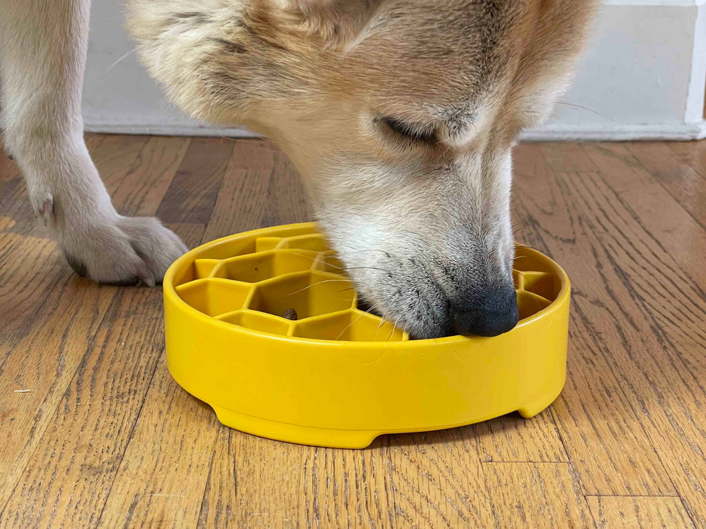 Honeycomb Slow Feeder Bowl| USA Made