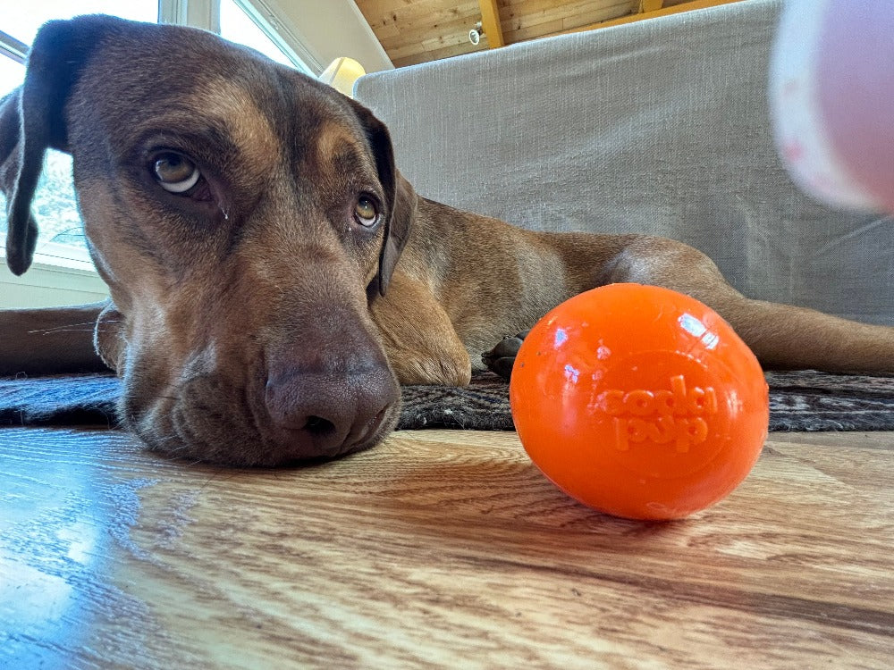 Squeaky Ball | American made