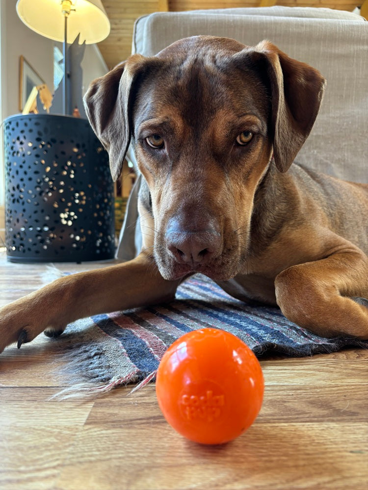 Squeaky Ball | American made