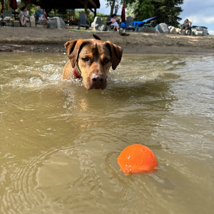 Squeaky Ball | American made