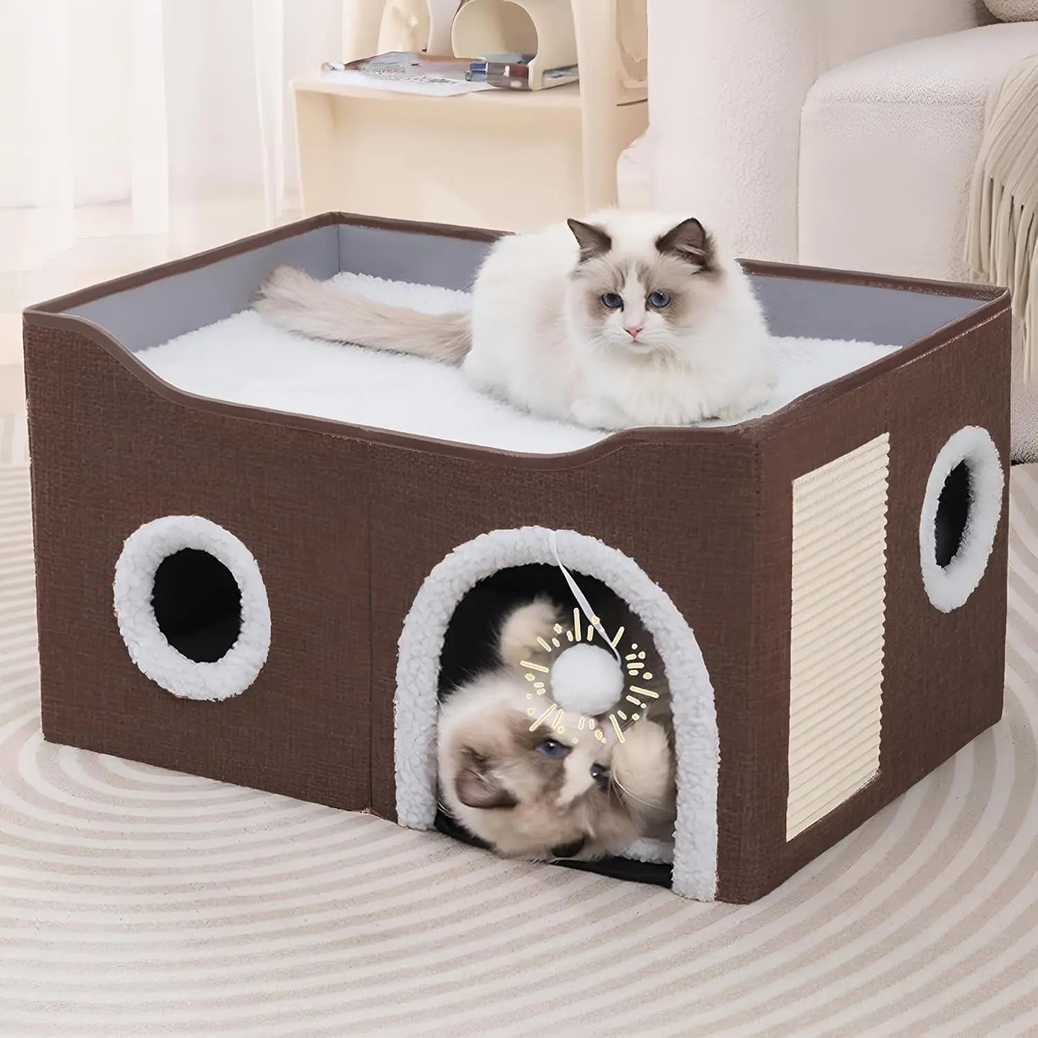 Indoor Cat House