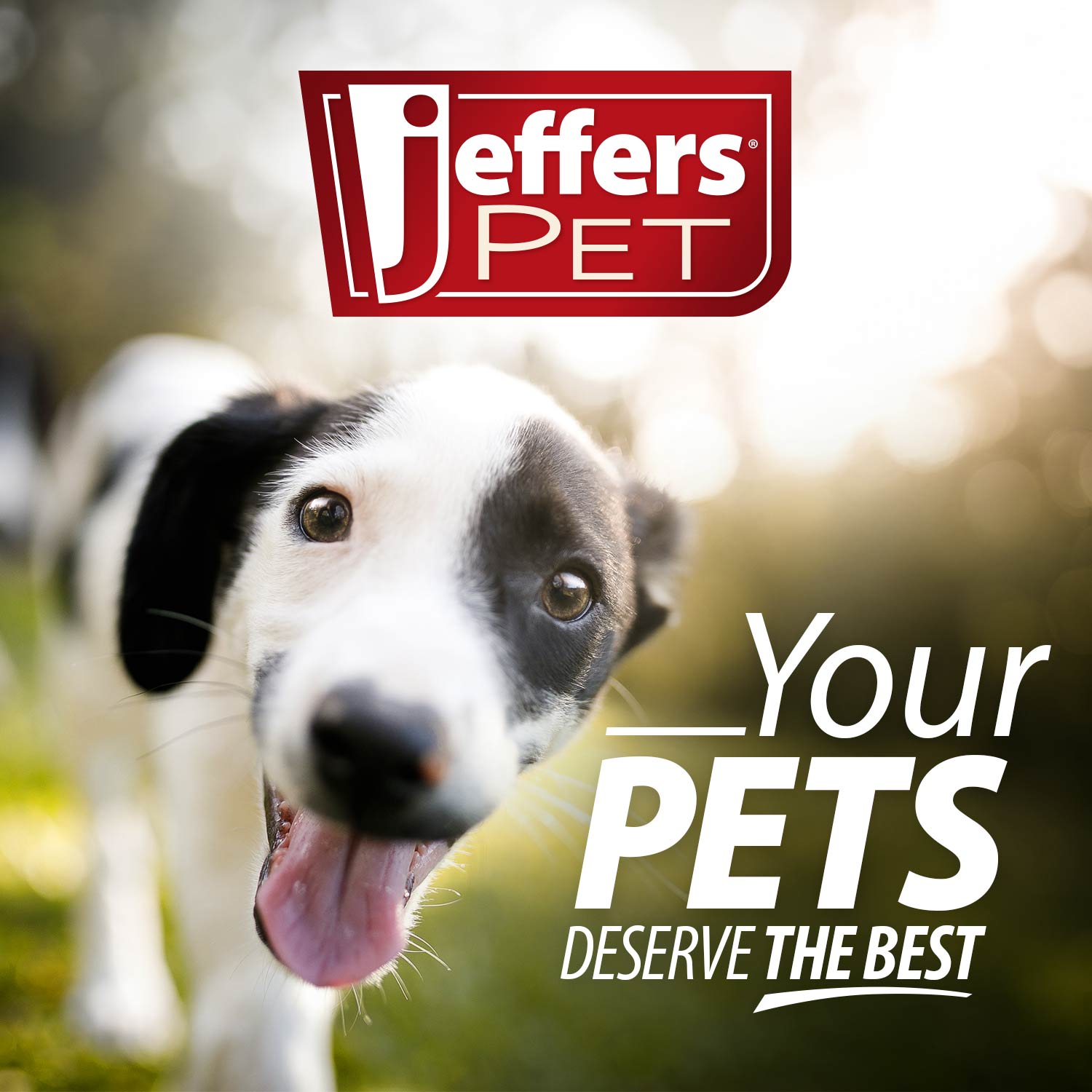 Jeffers Moisturizing Shampoo for Pets