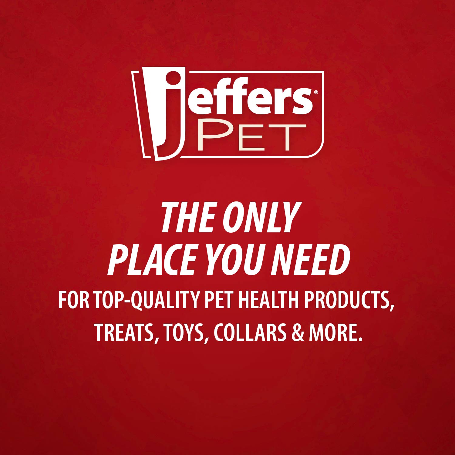 Jeffers Pet White Coat Whitening Dog & Cat Shampoo