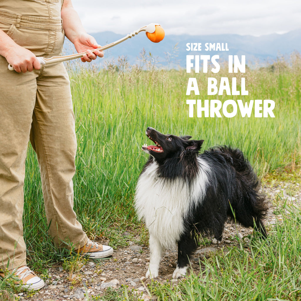 Jive Dog Ball | Erratic Bounce Fetch Toy, Tougher Than Tennis – West Paw