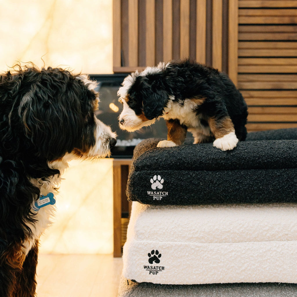 Luxury Orthopedic Bed