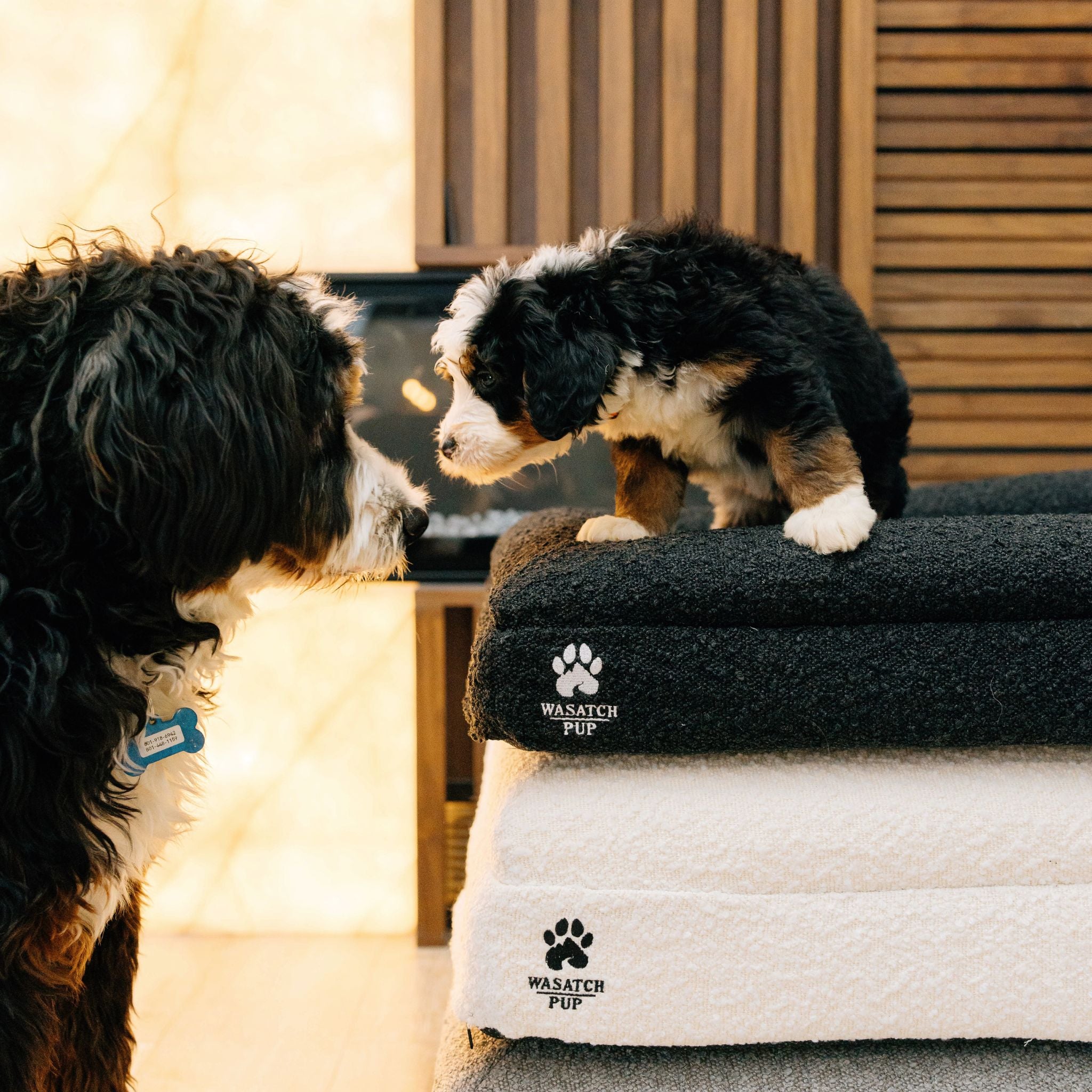 Luxury Orthopedic Bed