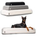Luxury Orthopedic Bed