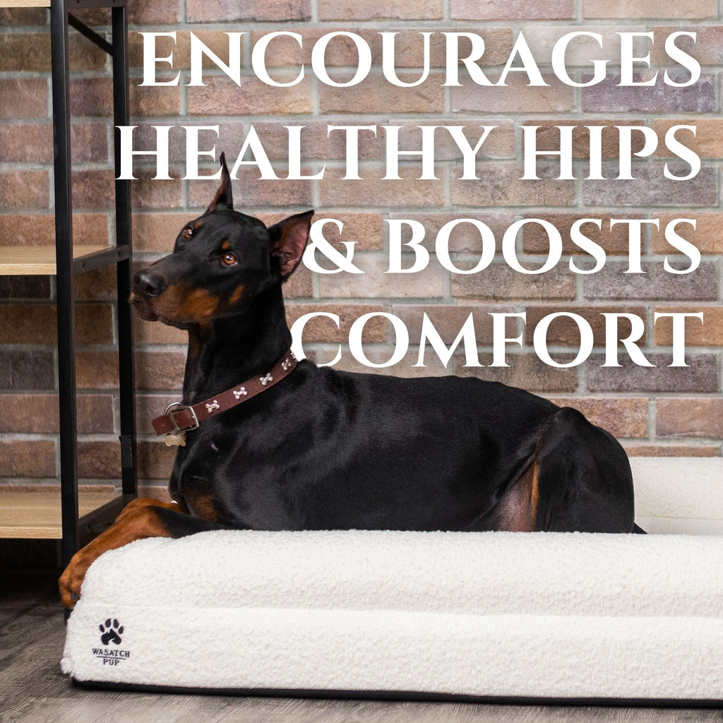 Luxury Orthopedic Bed