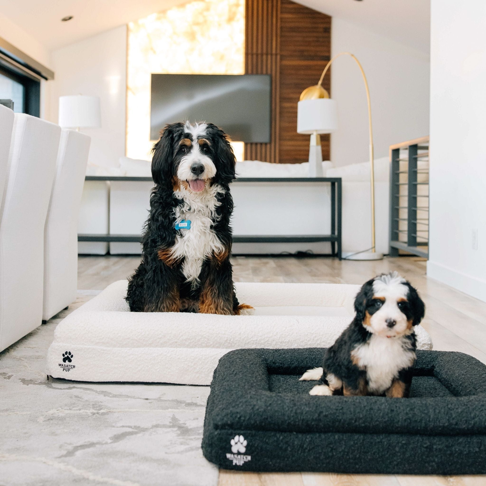 Luxury Orthopedic Bed