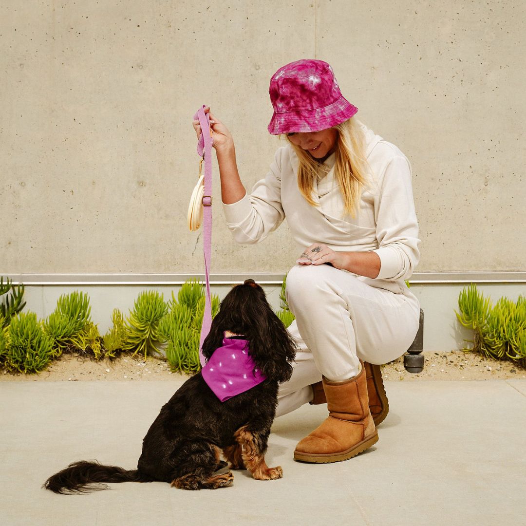 Tilley + Me Hemp Cotton Dog Leash