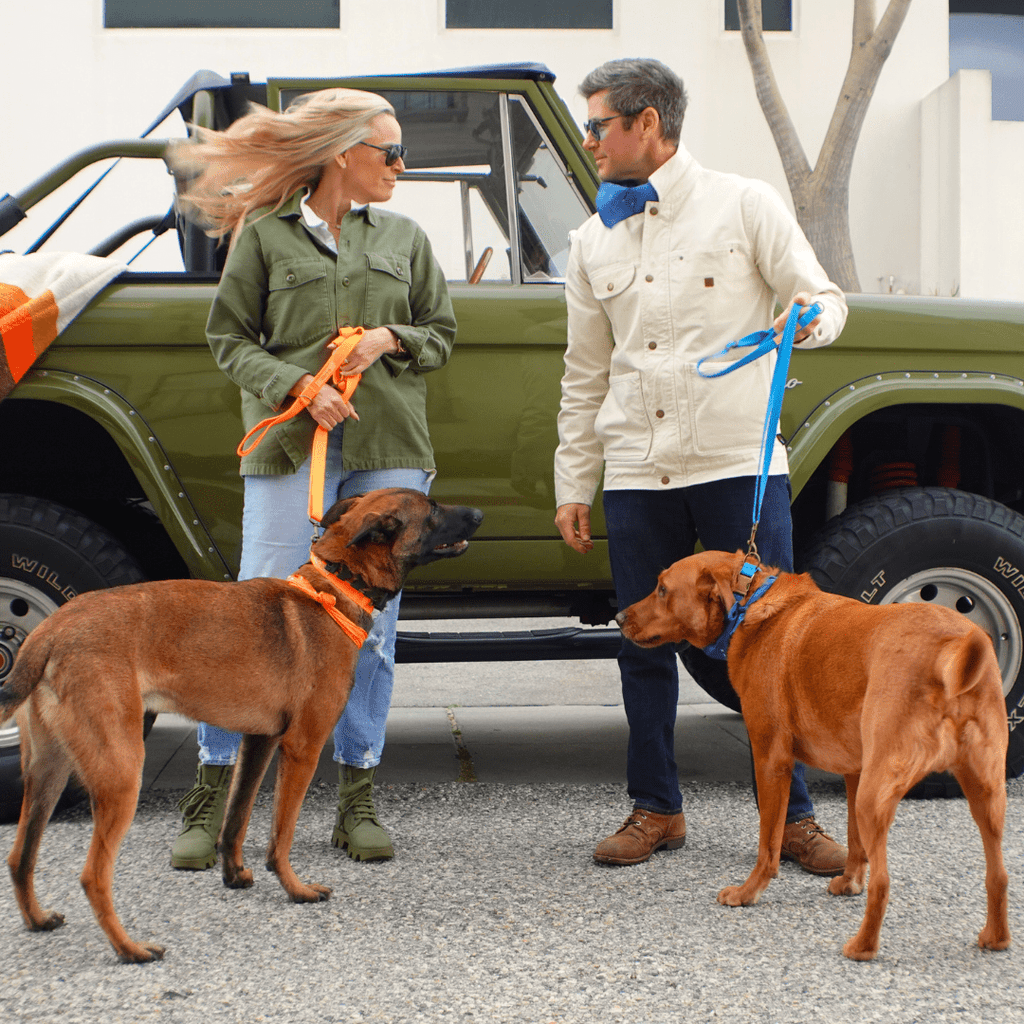 Tilley + Me Hemp Cotton Dog Leash