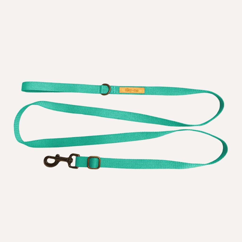 Tilley + Me Hemp Cotton Dog Leash