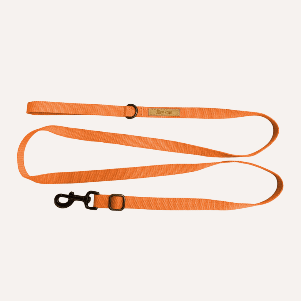 Tilley + Me Hemp Cotton Dog Leash