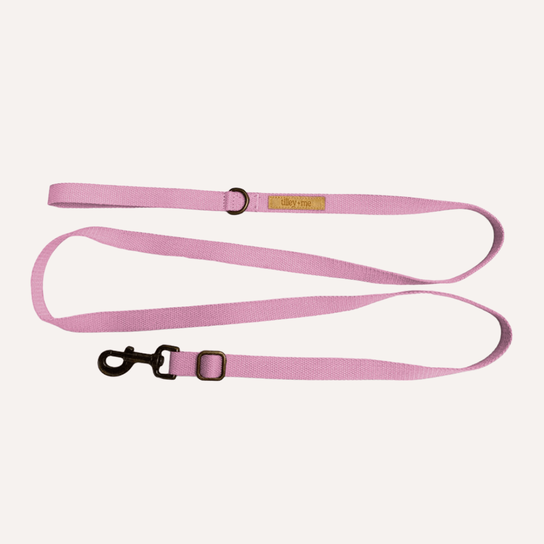 Tilley + Me Hemp Cotton Dog Leash