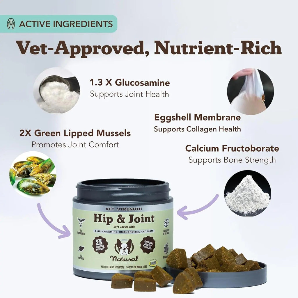 Natural Dog Company Hip & Joint Chews & Liquid Formula | Senior Dog Mobility Support – Wags & Whiskers