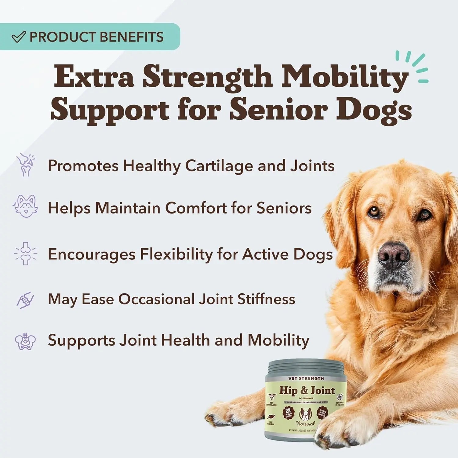 Natural Dog Company Hip & Joint Chews & Liquid Formula | Senior Dog Mobility Support – Wags & Whiskers