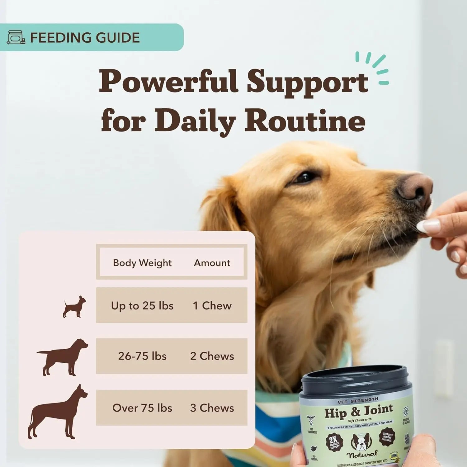 Natural Dog Company Hip & Joint Chews & Liquid Formula | Senior Dog Mobility Support – Wags & Whiskers