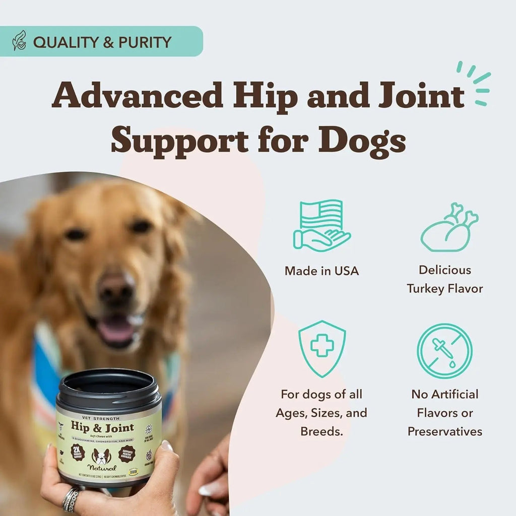 Natural Dog Company Hip & Joint Chews & Liquid Formula | Senior Dog Mobility Support – Wags & Whiskers