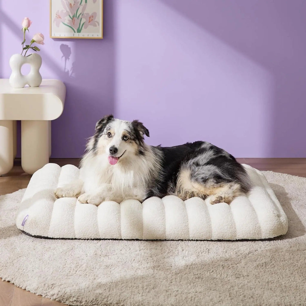 Orthopedic Dog Bed for Large Dogs | Waterproof Plush Mat with Washable Cover – Wags & Whiskers