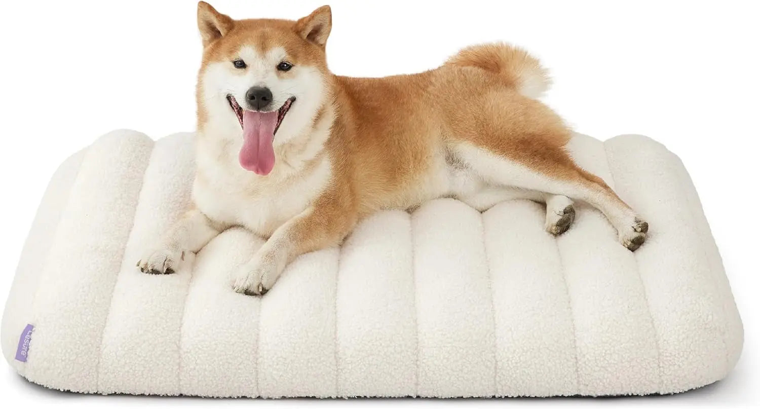 Orthopedic Dog Bed for Large Dogs | Waterproof Plush Mat with Washable Cover – Wags & Whiskers