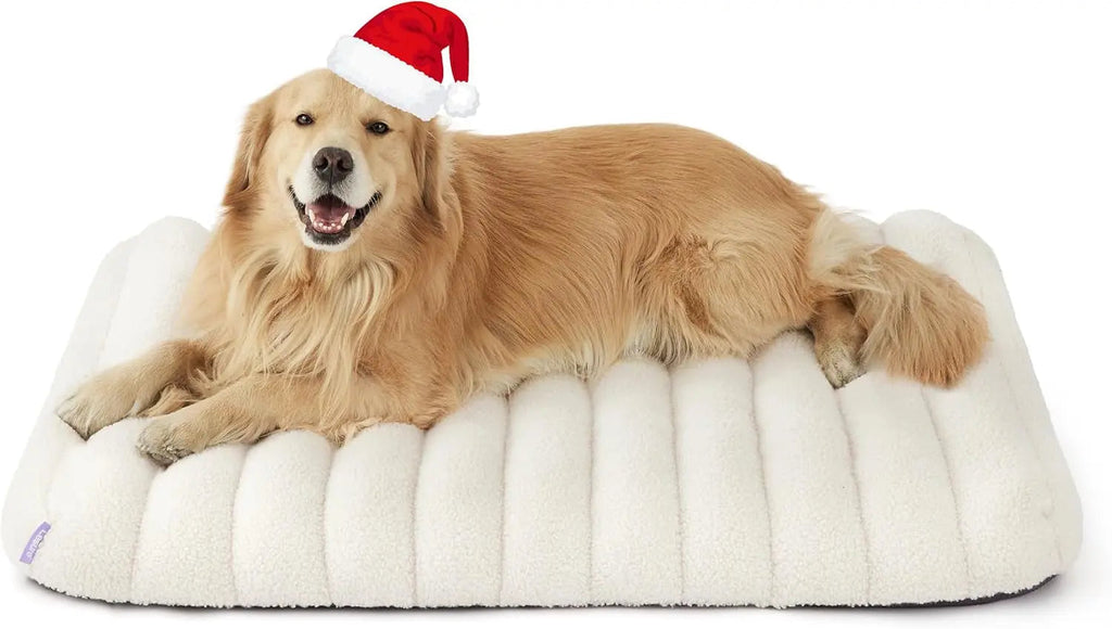 Orthopedic Dog Bed for Large Dogs | Waterproof Plush Mat with Washable Cover – Wags & Whiskers