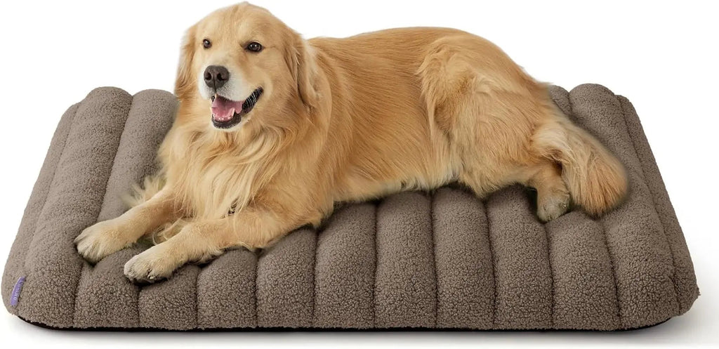 Orthopedic Dog Bed for Large Dogs | Waterproof Plush Mat with Washable Cover – Wags & Whiskers