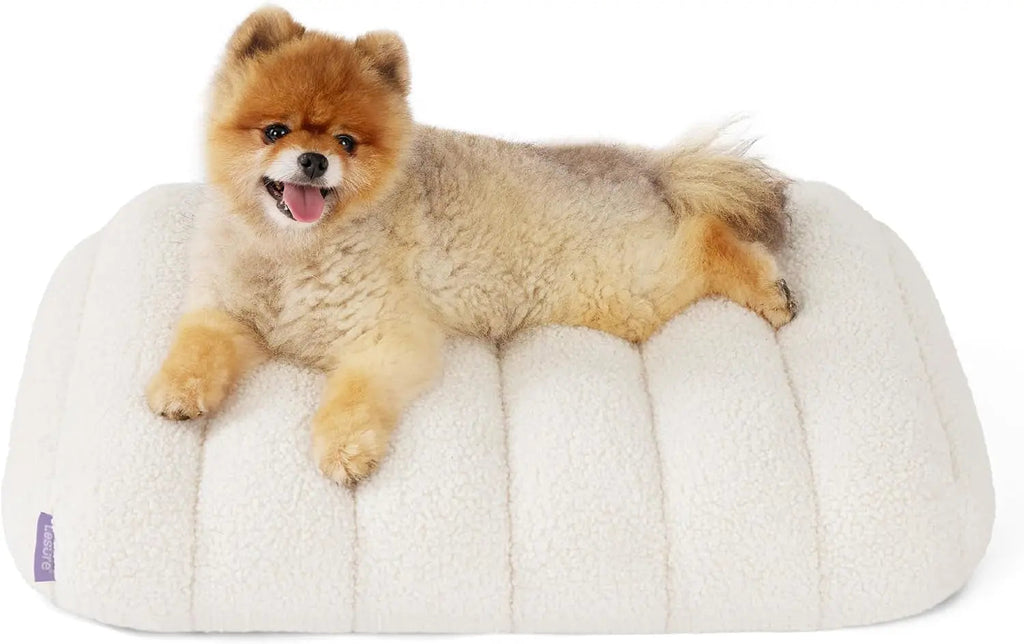 Orthopedic Dog Bed for Large Dogs | Waterproof Plush Mat with Washable Cover – Wags & Whiskers