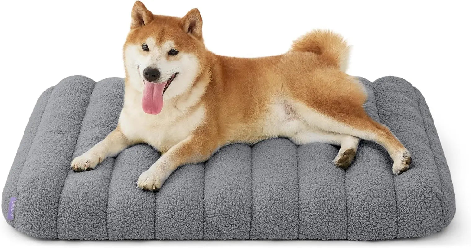 Orthopedic Dog Bed for Large Dogs | Waterproof Plush Mat with Washable Cover – Wags & Whiskers