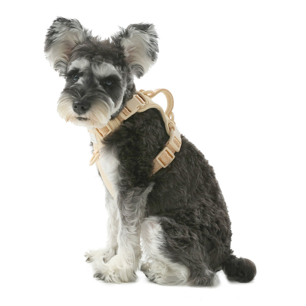 No pull active pet harness - APRICOT