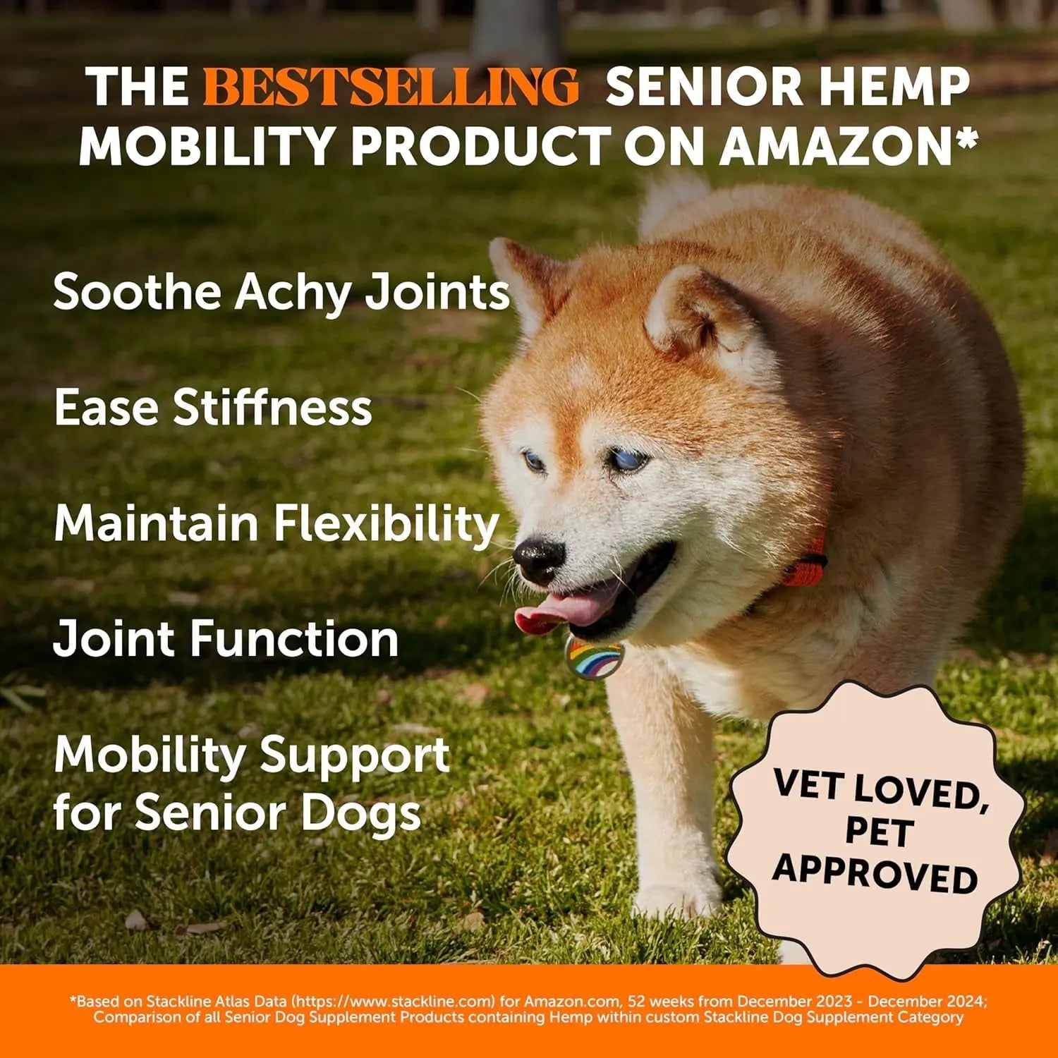 Pet Honesty Senior Hemp Hip & Joint Chews | Natural Mobility Support, 90 Ct – Wags & Whiskers
