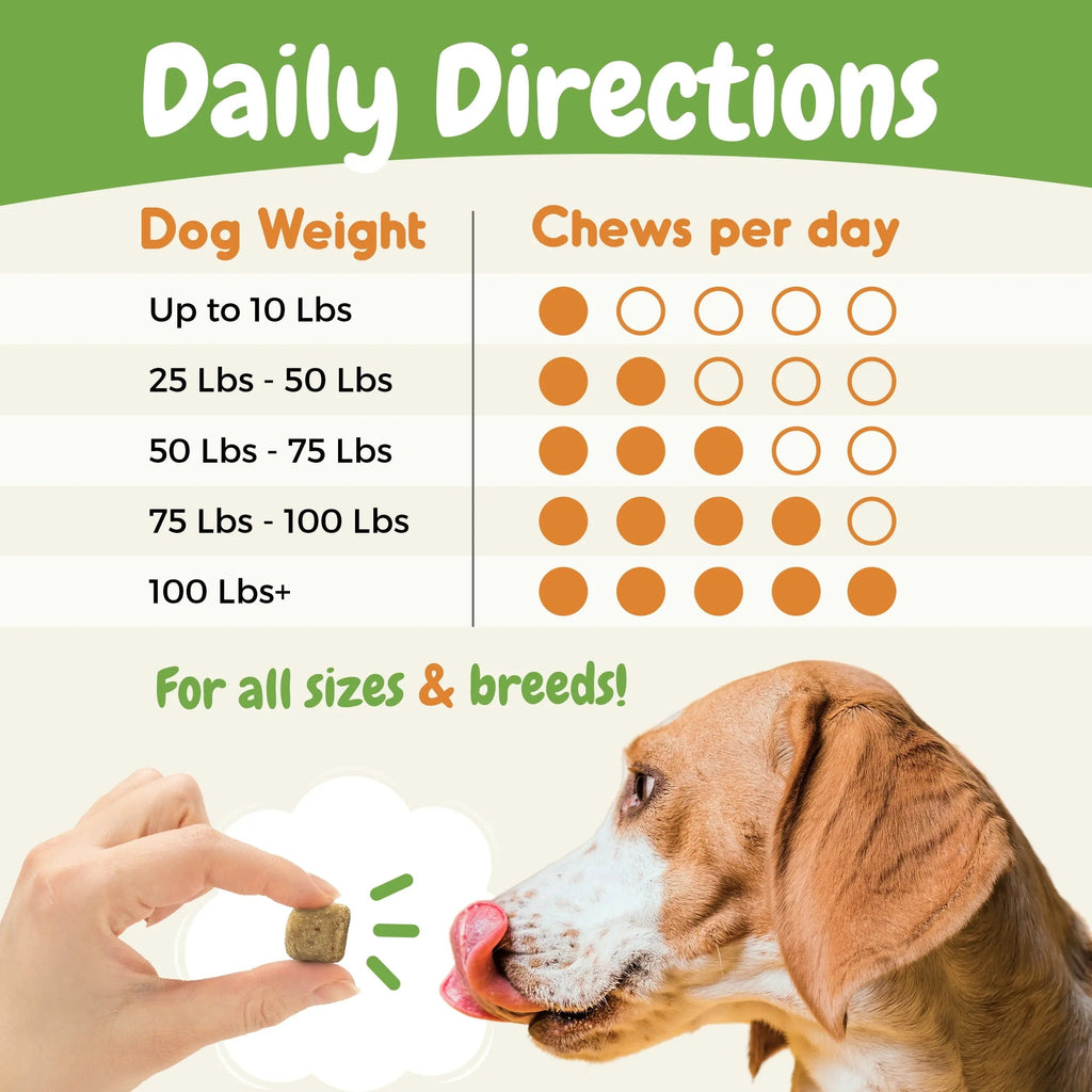Probiotics for Dogs – Allergy, Gut Health & Digestive Support Chews