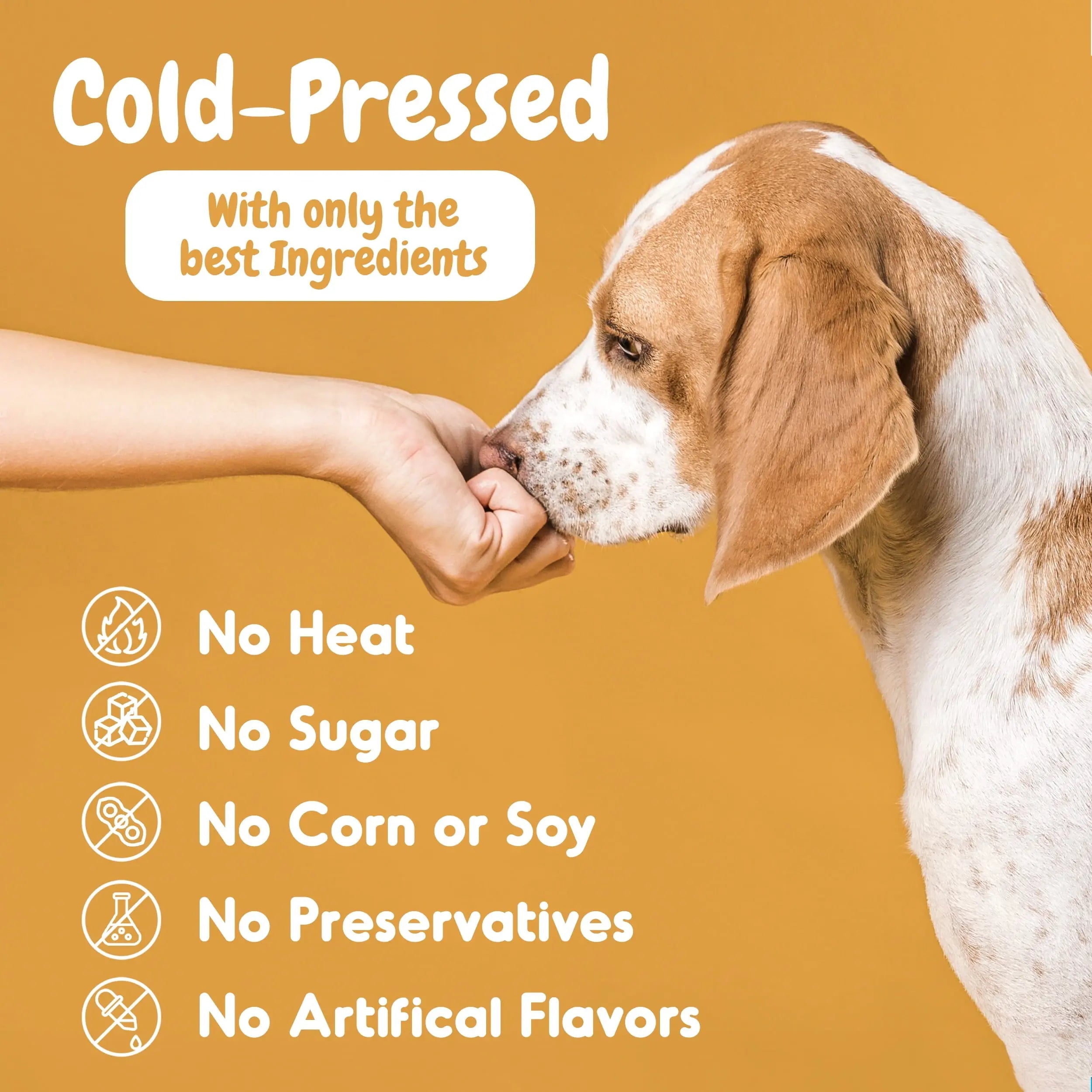 Probiotics for Dogs – Allergy, Gut Health & Digestive Support Chews
