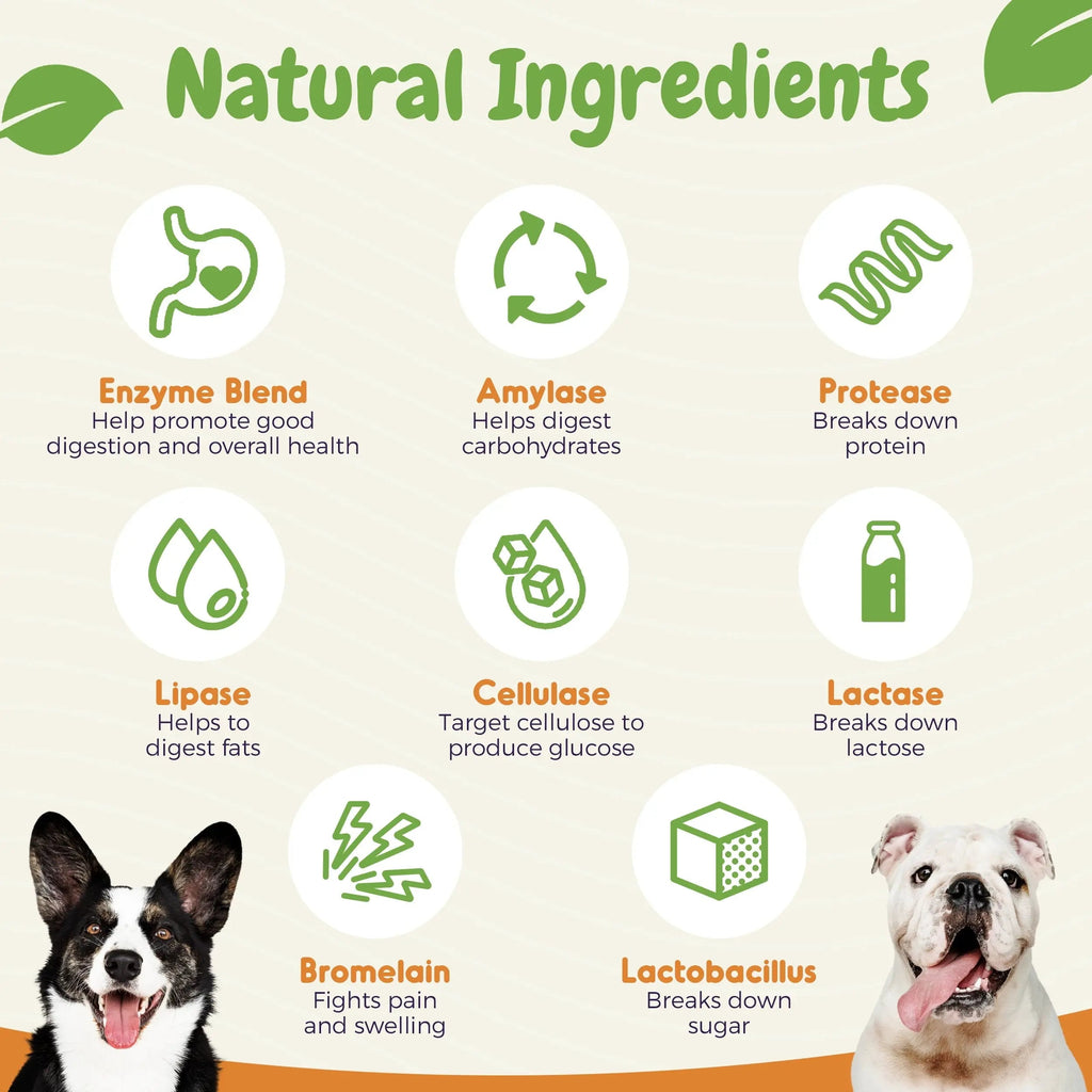 Probiotics for Dogs – Allergy, Gut Health & Digestive Support Chews