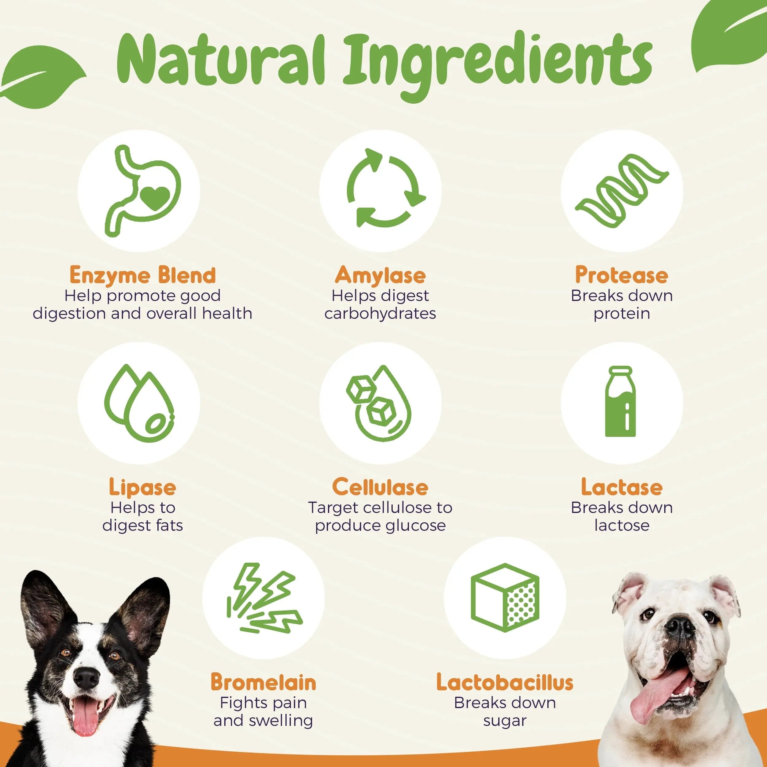 Probiotics for Dogs – Allergy, Gut Health & Digestive Support Chews