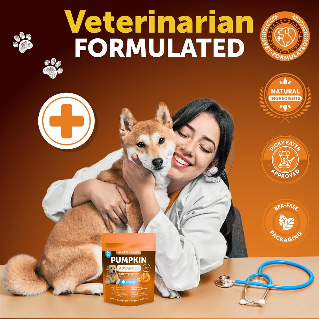 Pumpkin Powder for Dogs | Fiber Supplement for Digestion & Stool Support, 16oz – Wags & Whiskers