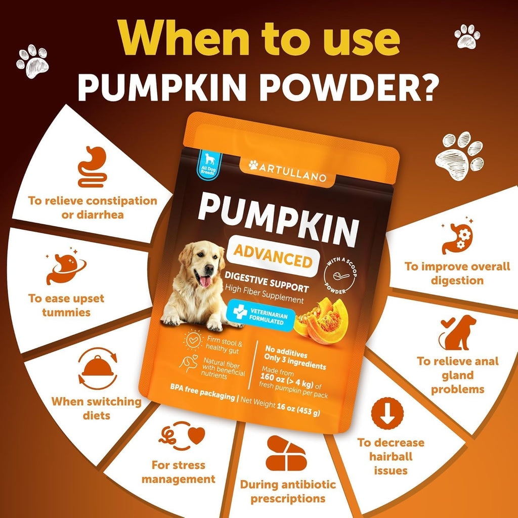 Pumpkin Powder for Dogs | Fiber Supplement for Digestion & Stool Support, 16oz – Wags & Whiskers