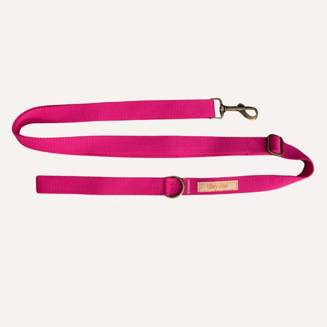 Tilley + Me Hemp Cotton Dog Leash
