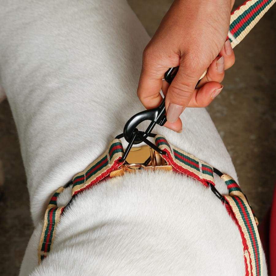 Le Classic Dog Harness