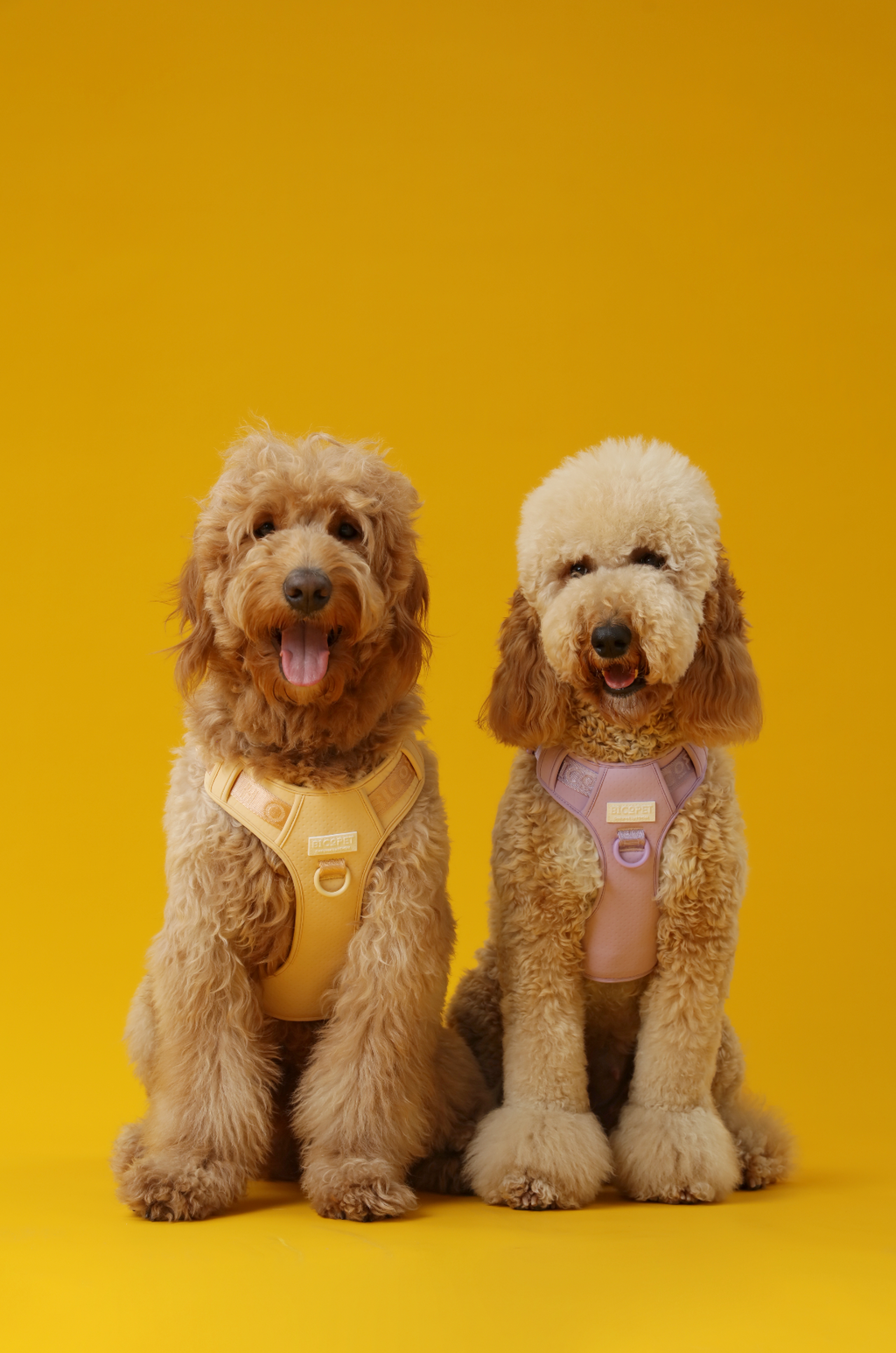 No pull active pet harness - APRICOT