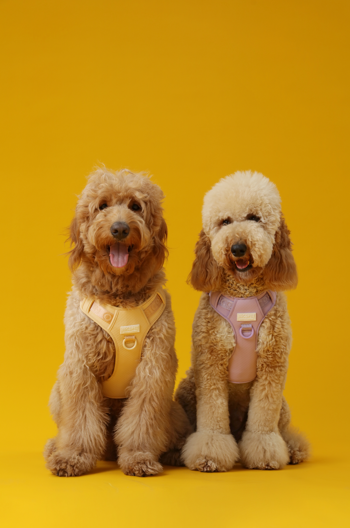 No pull active pet harness - APRICOT
