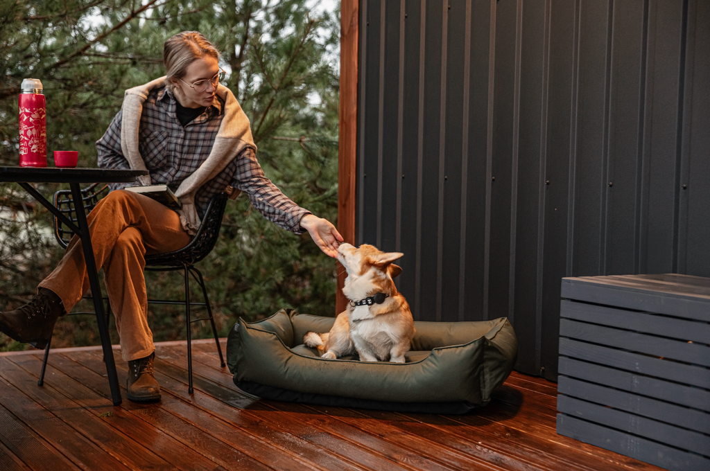 Chester & Lee | Waterproof Sleeper Pet Bed in Green