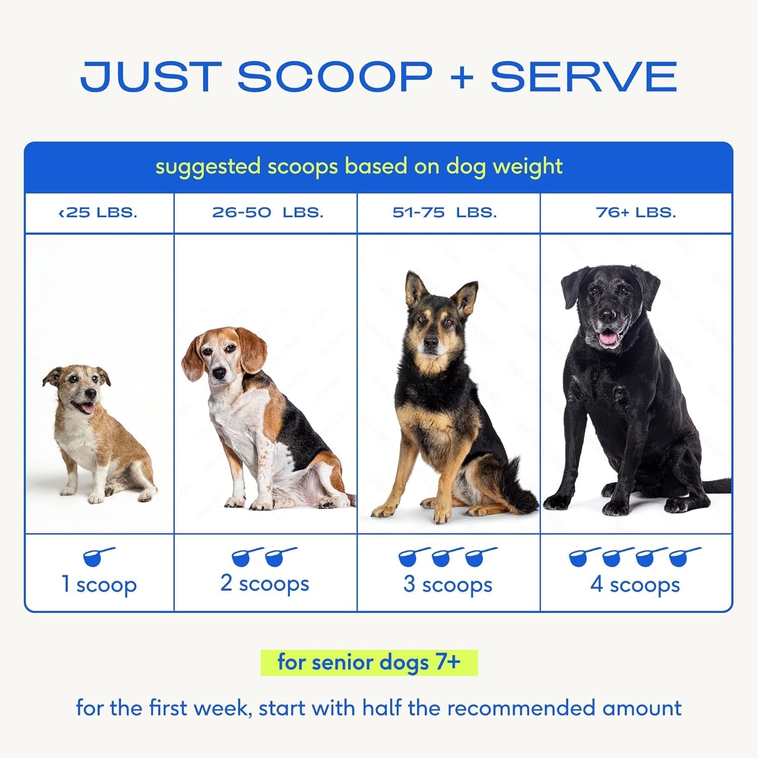 Senior Dog Multivitamin Powder | 12-in-1 Joint, Brain & Immune Support, 30 Scoops – Wags & Whiskers