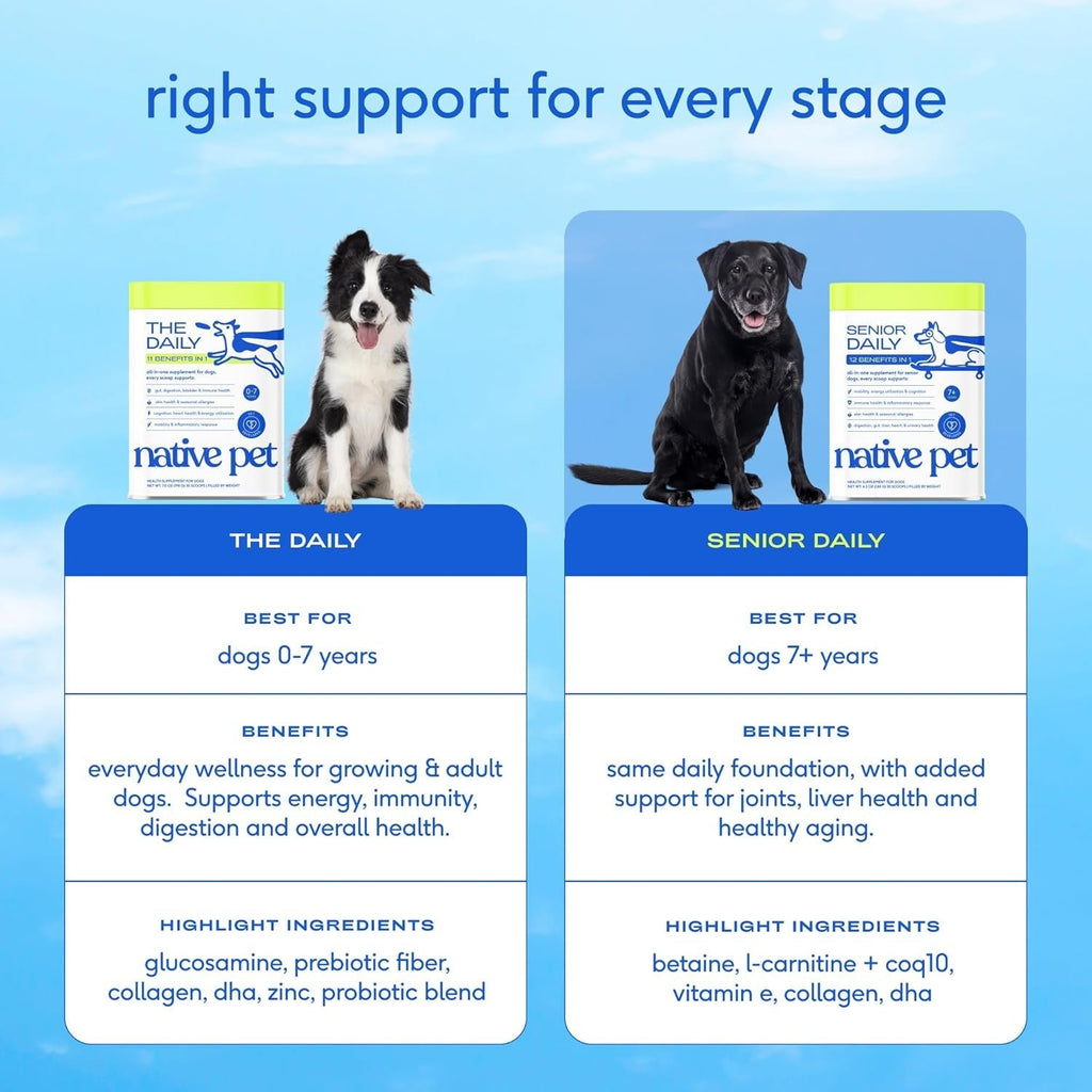 Senior Dog Multivitamin Powder | 12-in-1 Joint, Brain & Immune Support, 30 Scoops – Wags & Whiskers