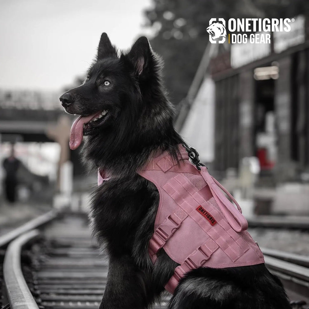 Tactical No-Pull Dog Harness